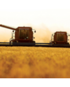 DIPLOMATURA EN AGRONEGOCIOS