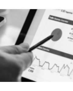 CERTIFICADO EN POSICIONAMIENTO DE BUSCADORES (SEO)