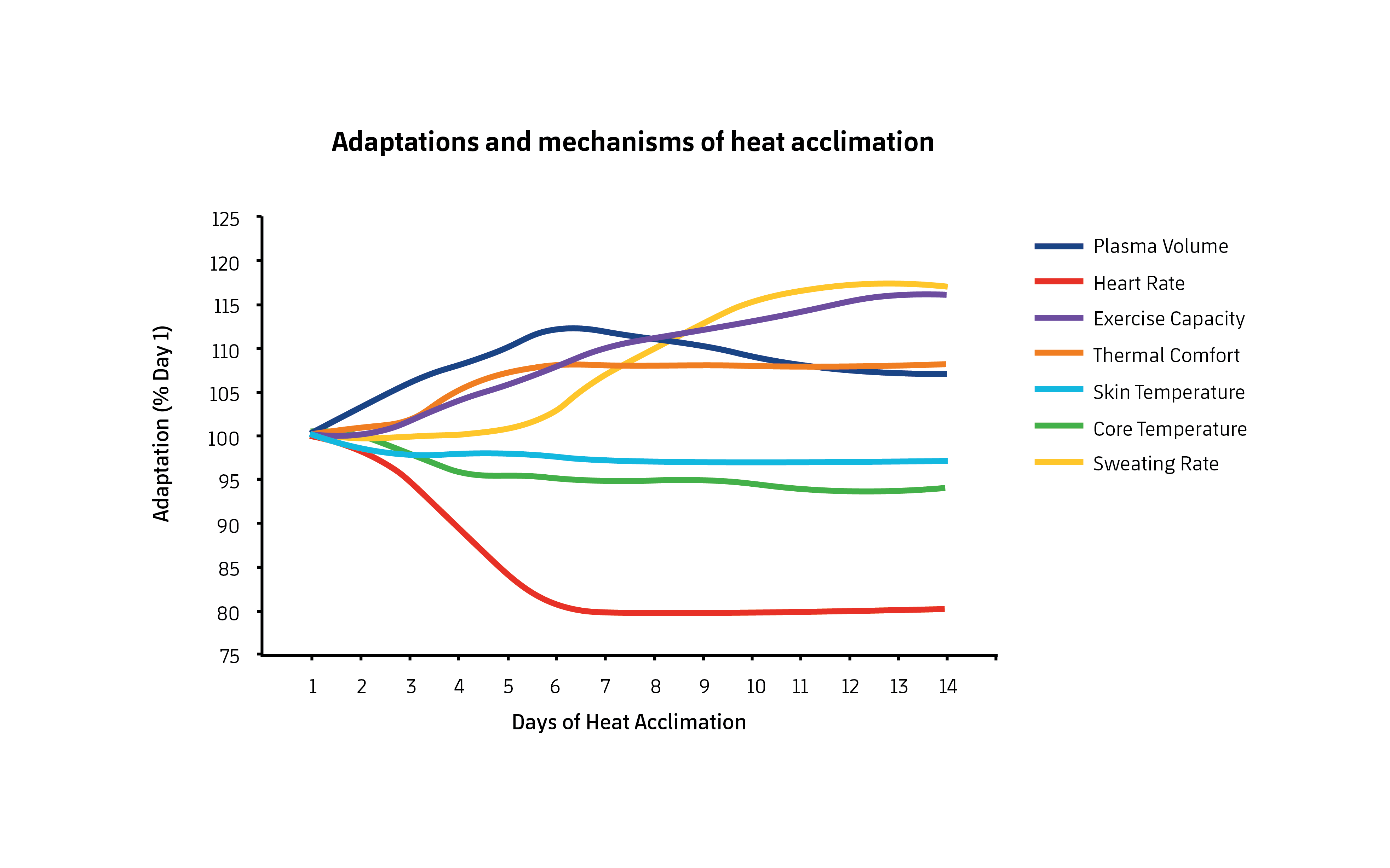 Figure 1. Adaptations after a period of heat acclimation. Modified from Périard et al. (2015).