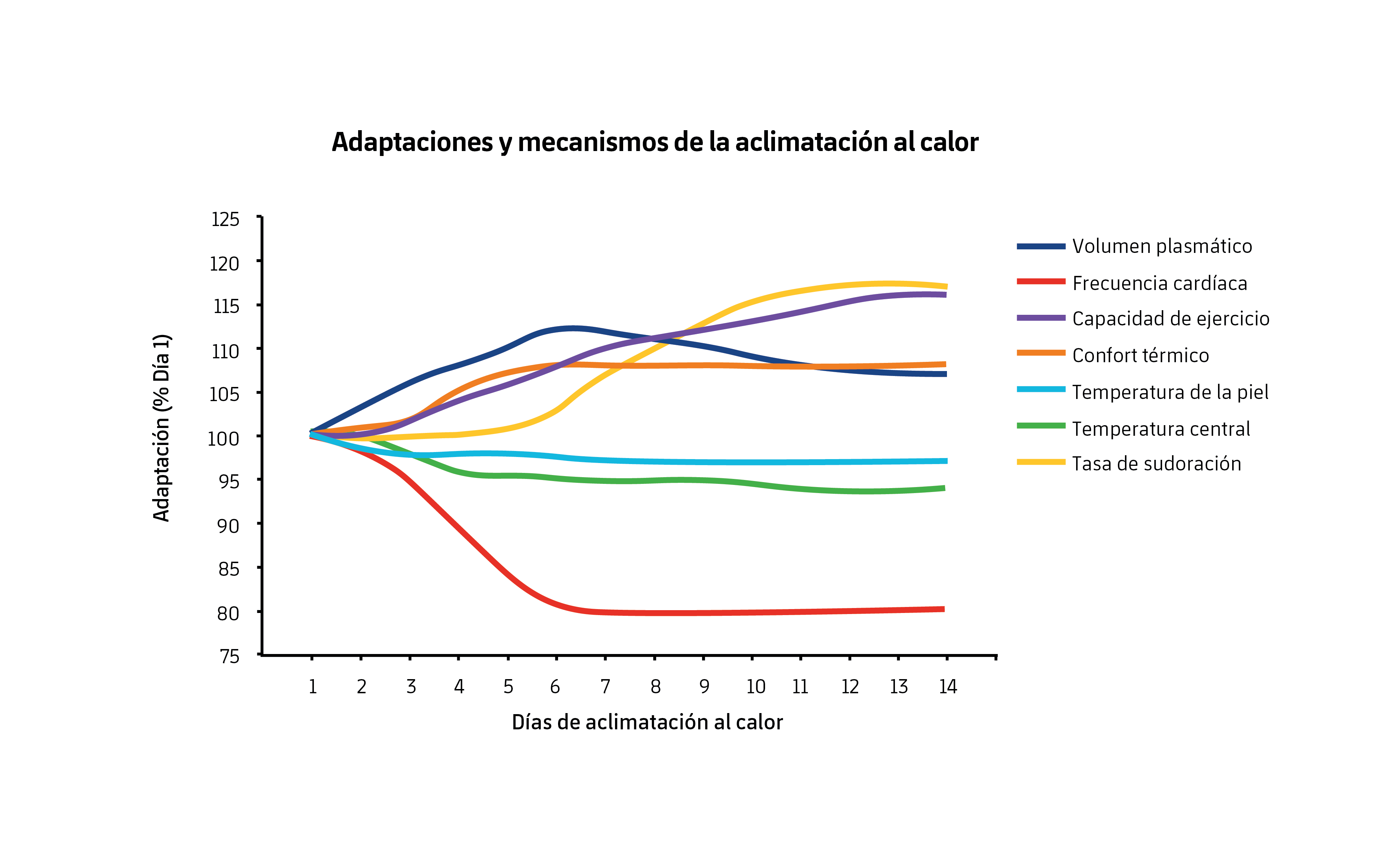 Figura 1. Adaptaciones tras un periodo de aclimatación en calor. Modificado de Périard et al. (2015).
