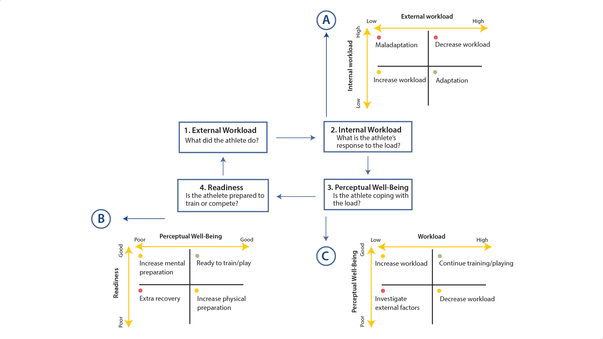 Figura 3. Ciclo de monitorización del deportista. Modelo propuesto por Gabbett et al. (2017).