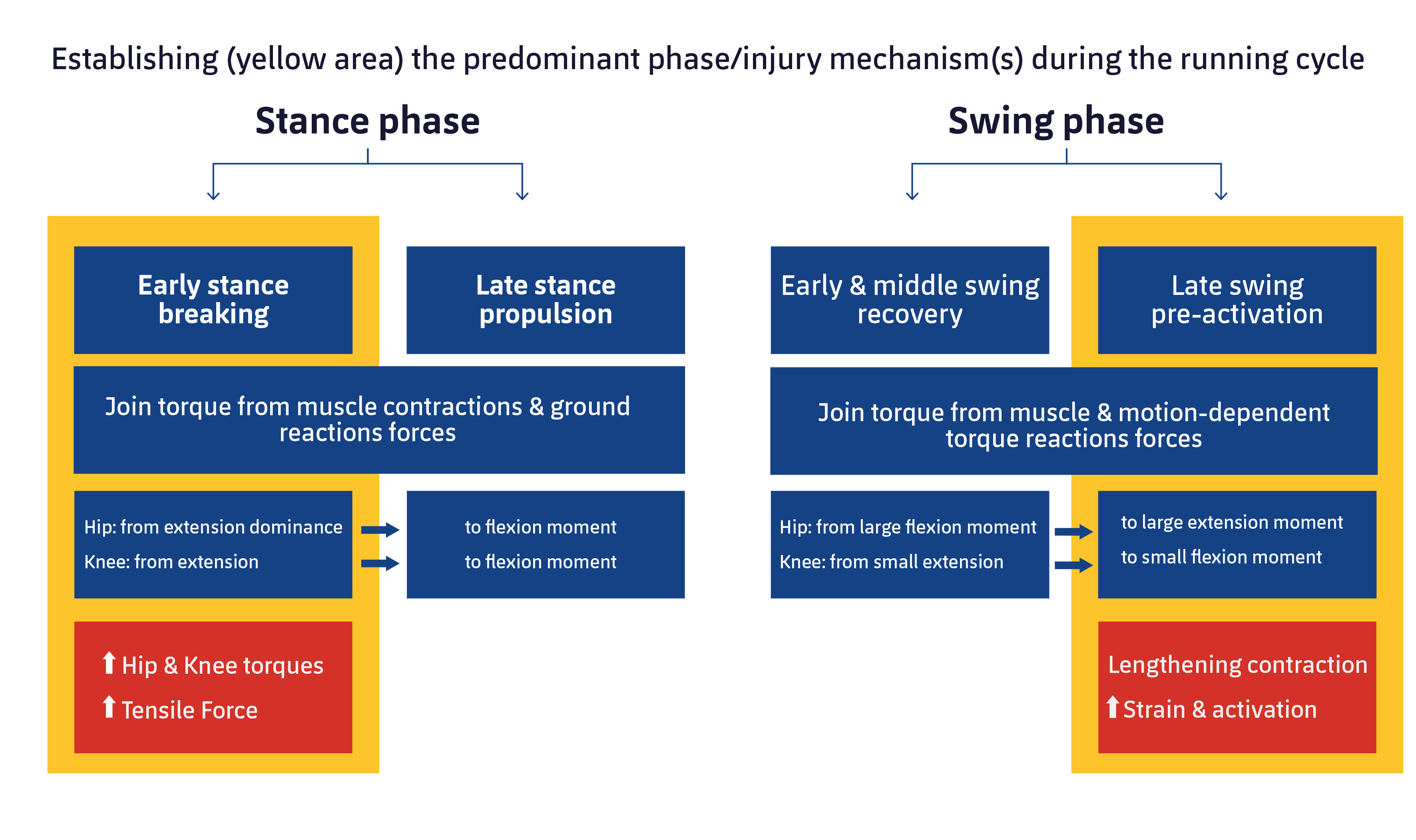 Figure 2. Characteristics of mechanics and muscle activation in the main phases in which hamstring injury occurs. Adapted from Huygaerts S, et al. 2020.