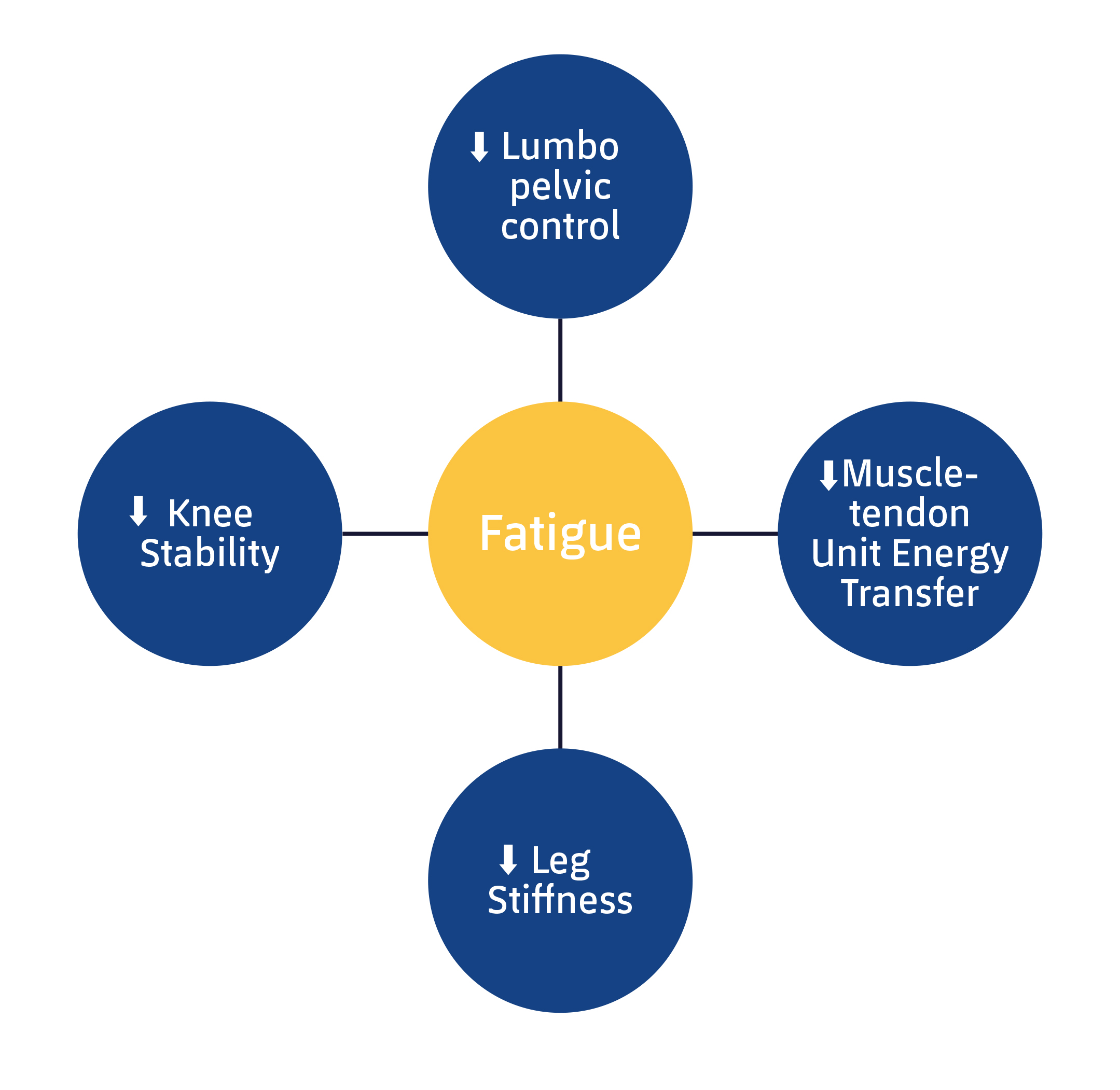 Figure 3. Interactions between fatigue and hamstrings activation and function. Adapted from Huygaerts S, et al. 2020.