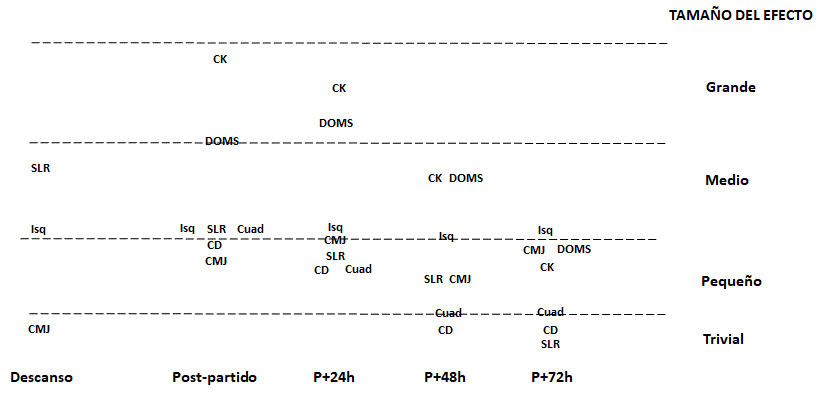 Figure 1. Time evolution of changes (average of effect size) in different neuromuscular, biomechanical parameters, perceptive responses, and physical performance at rest, immediately, one (P+24h), two (P+48h) and three (P+72h) days after the game. Hamstrings (hams), Quadriceps (Quad), Creatine Kinase (CK), Delayed Onset Muscle Soreness (DOMS), Straight-Line Sprint (SLS), Countermovement Jump (CMJ) and Change of Direction (CD)