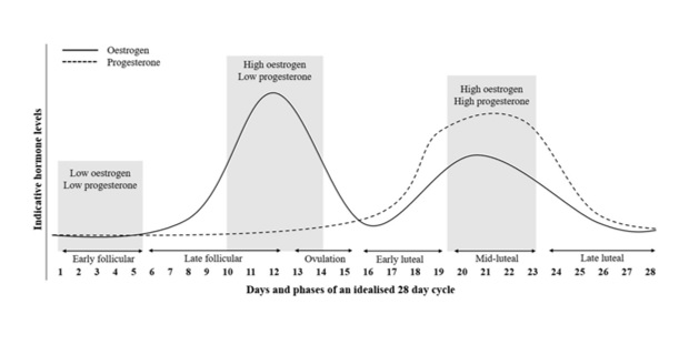 Figure 1. Simplified diagram of the menstrual cycle and the levels of oestrogen and progesterone in each of them. Figure obtained from Lee et al.2