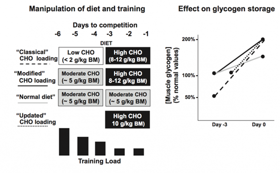 Figura. 2. Protocolos para la supercompensación de glucógeno antes de una competición y su efecto en los niveles de glucógeno muscular. Figura adaptada de Burke et al.2