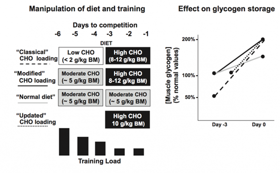 Figura 2. Protocols per a la supercompensació de glucogen abans d'una competició i el seu efecte en els nivells de glucogen muscular. Figura adaptada de Burke et al.2