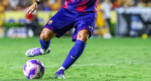 Professional Diploma in Comprehensive Rehabilitation of Injured Athletes