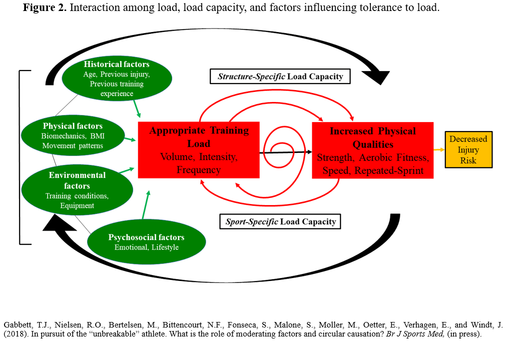 Figura 2. A interação entre carga, capacidade de carga e fatores que influenciam a tolerância à carga. Gabbett, T.J., Nielsen, R.O , Bertelsen, M , Bittencourt, N.F, Fonseca, S., Malone, S , Moller, M , Oetter, E, Verhagen, E , e Windt, J (201S). Em busca do atleta inquebrável Qual é o papel dos fatores moderadores e da causalidade circular? Br J Sports A fed, (na imprensa).
