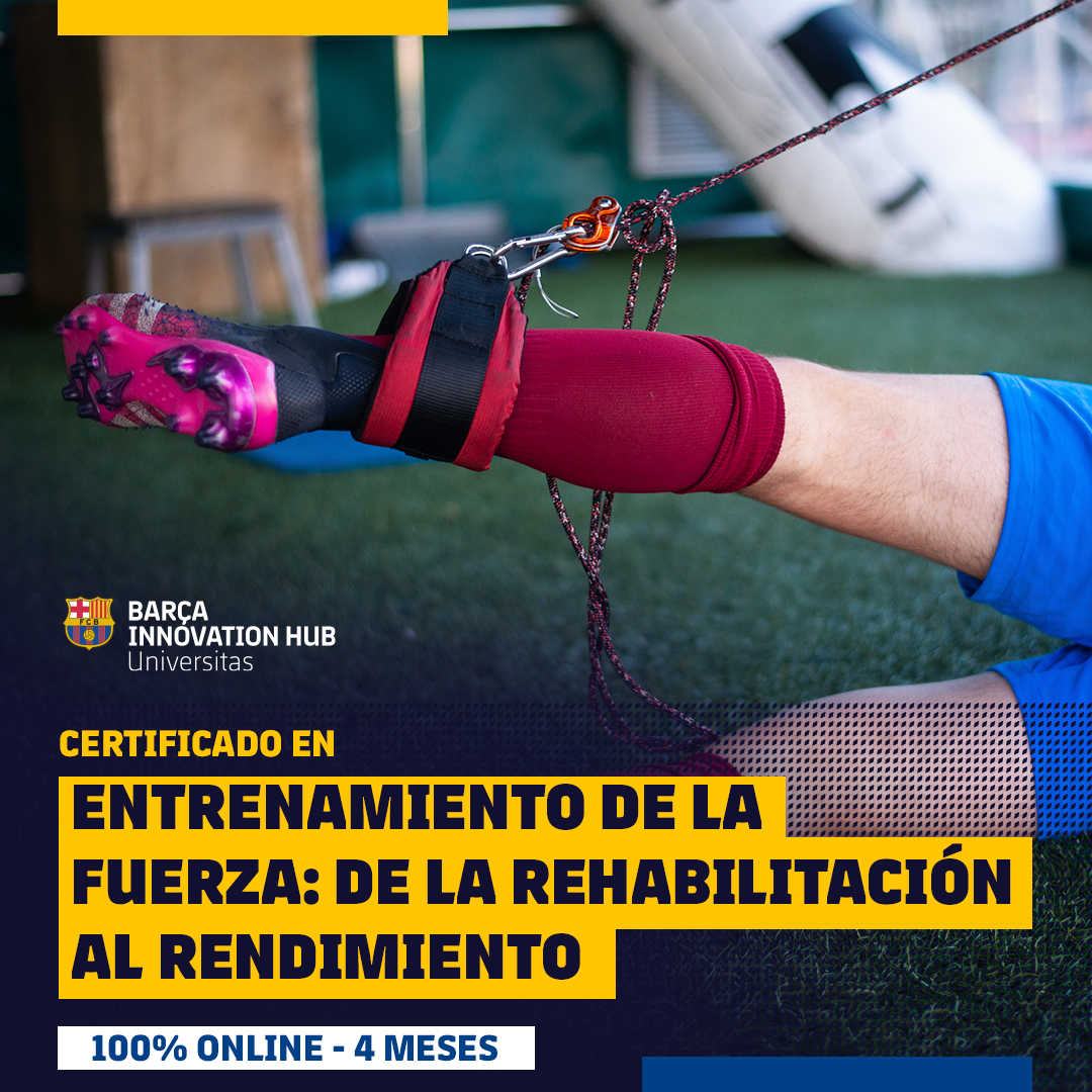 certificate-in-strength-training-from-rehabilitation-to-performance-2